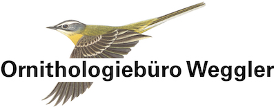 ornithologiebuero